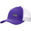 Purple / White